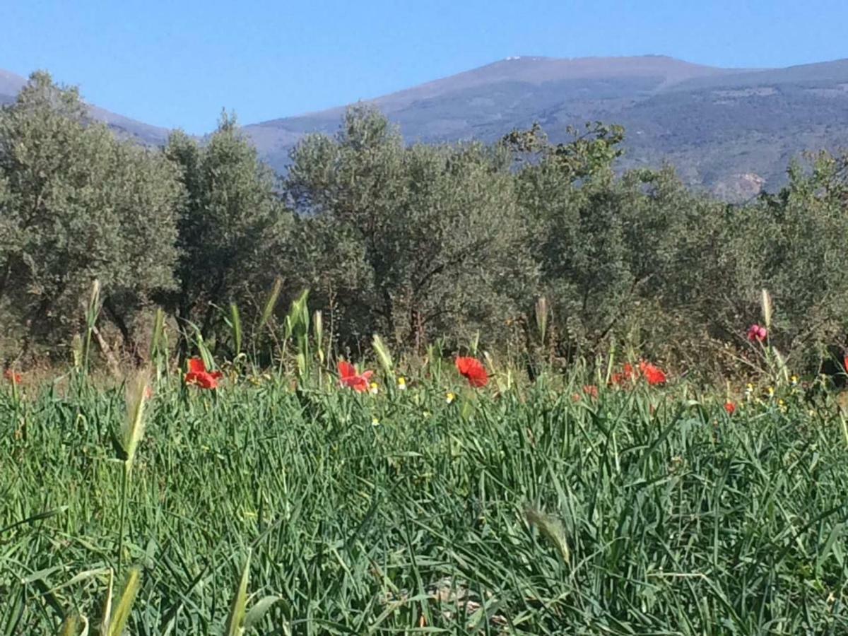 Villa Ugijar Buitenkant foto